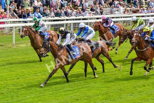 170523-Race 1-Scampi-8576 - Race 1 1.50pm Sky Bet Race To The Ebor Jorvik Handicap
