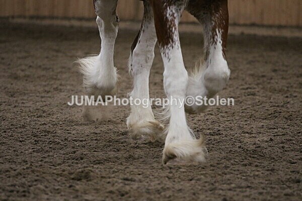 SIAL3310 - Sunday 14th Ridden