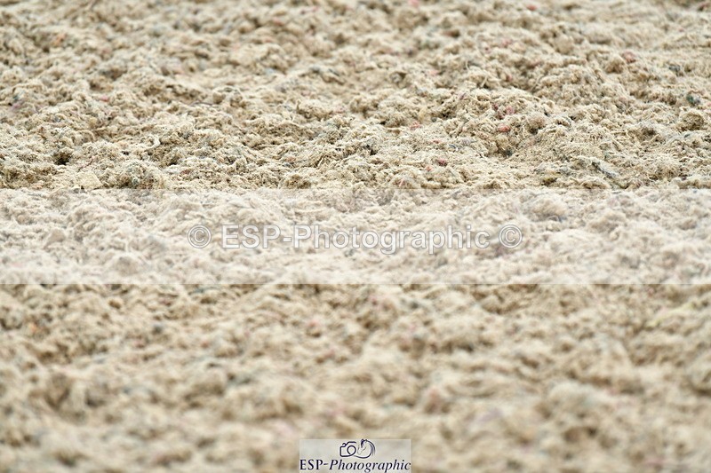 230721A-132730-06543 - Cls 14, 1 Star Bronze 1.10m