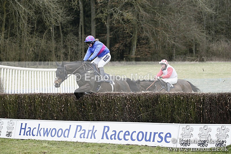 PtP 110318 162 - Hampshire Hunt Point-to-Point Hackwood Park 11/03/18
