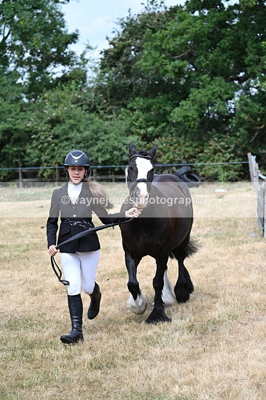 WJ7_1668 - Class 4 Prettiest Mare up to 14.2hh in hand