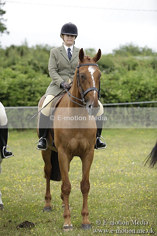 BVR160717-1041 - Ring 1 BVRC Show 16/07/17