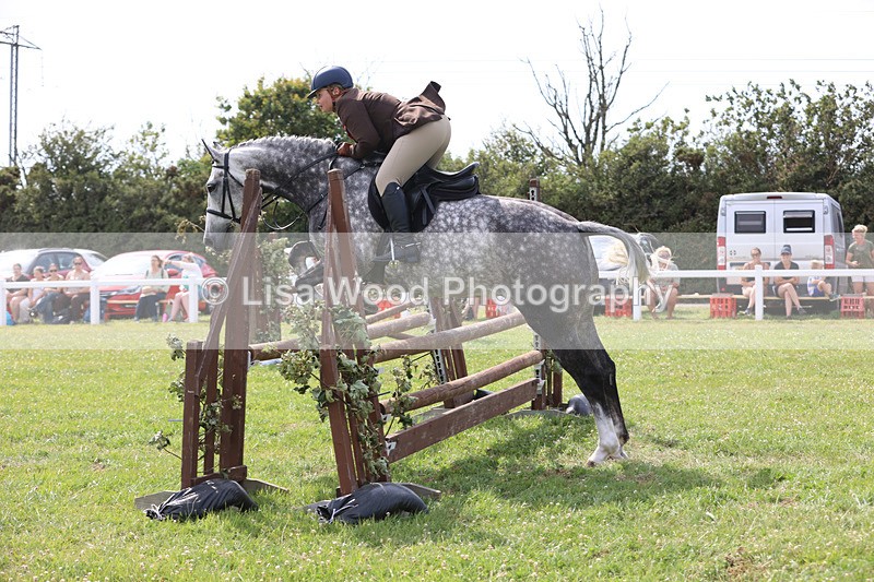 JPP_3995 - Class 24: Working Hunter 90cm