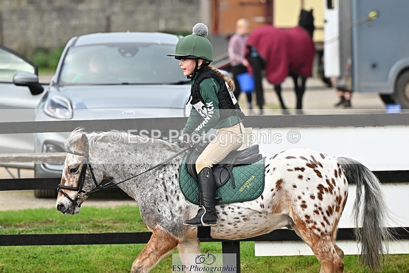 241110-113135-00447 - 50-55cm Arena Eventing