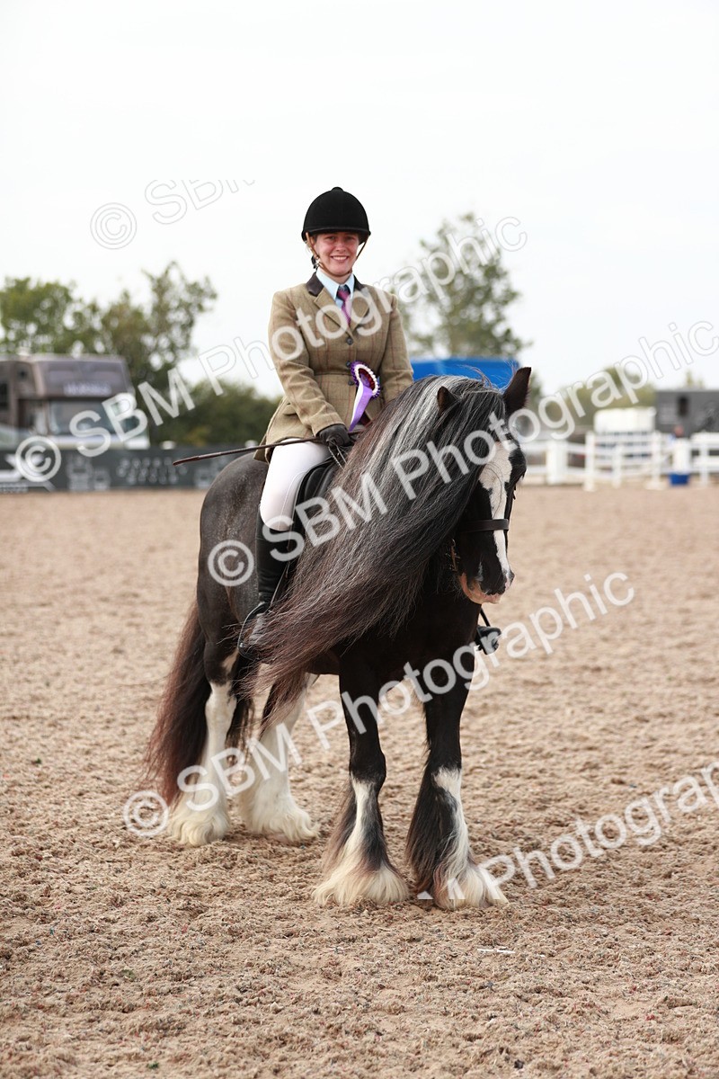 SBM_16833 - Class 214 Ridden Cob