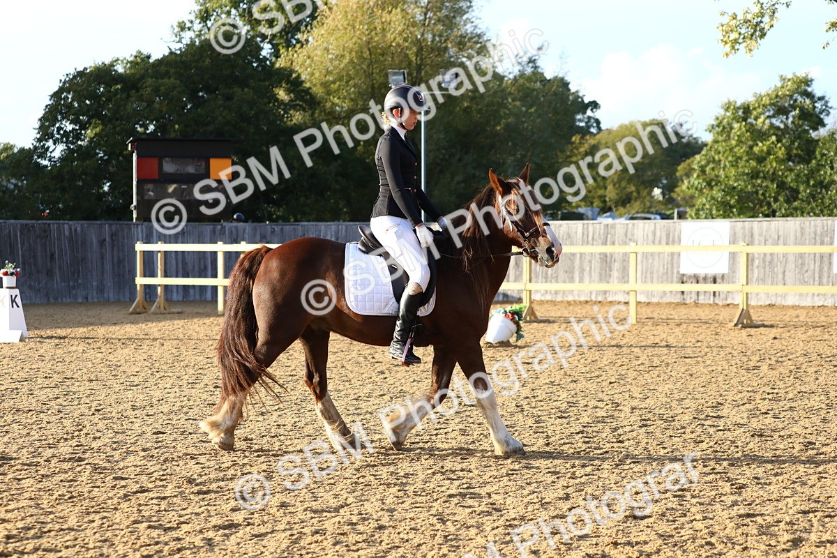 SBM_31721 - D11 - Small Tour Championship Prelim 1