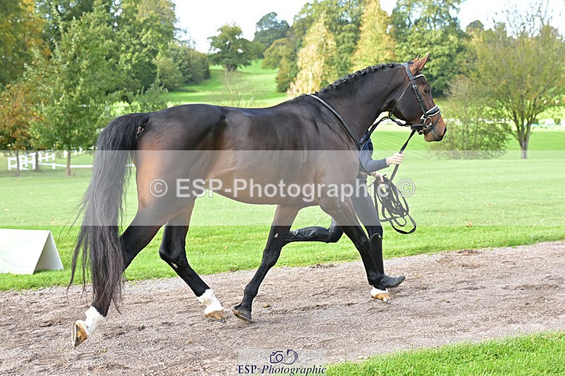 241023-131928-00206 - 012-Mollie.Summerland-SKITTEL.D'EKWI