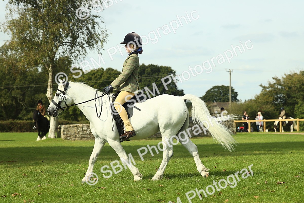 SBM_66493 - S34 - Rehabilitated Rescue Horse & Pony In Hand & Ridden