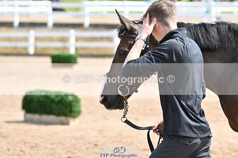 240717A-151916-02753 - Trot Up 3pm to 4pm