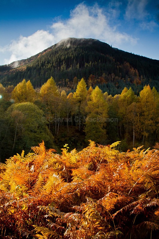 Highland volcano - Earth