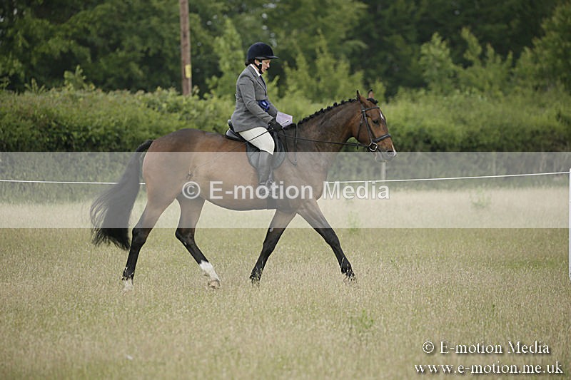 B230619-0201 - Bourne Valley Riding Club Summer Show 23/06/19