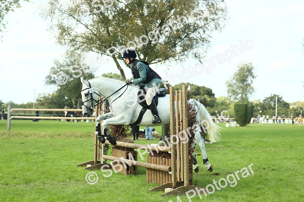 SBM_50597 - S33 - Working Hunter & Working Show Horse