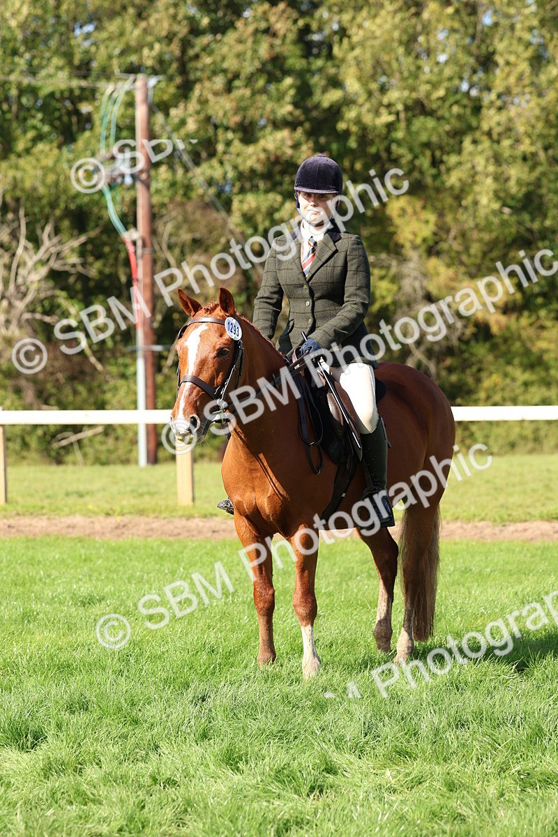 SBM_45292 - S27 - Young Veteran Ridden