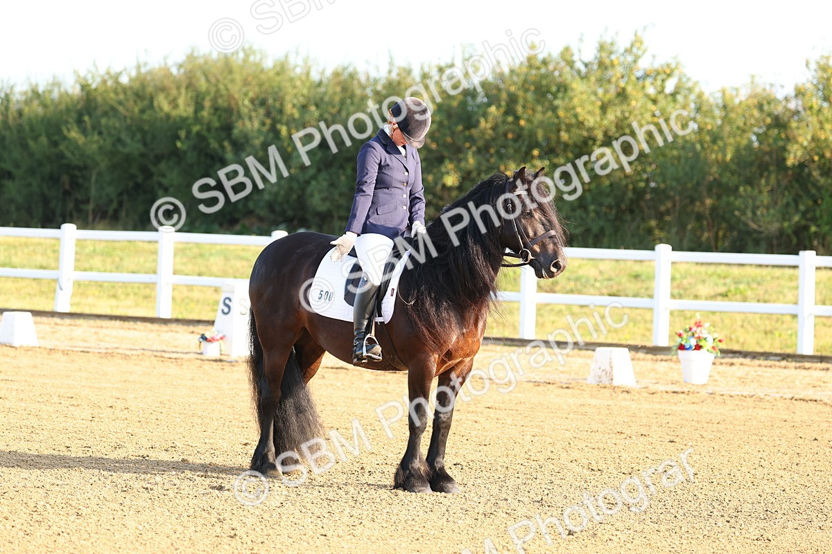 SBM_010013_Class 1 - Prelim 19 - 802-905 - Cart - Amy