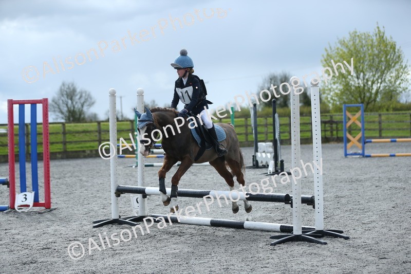 20260412-1717 - Show Jumping