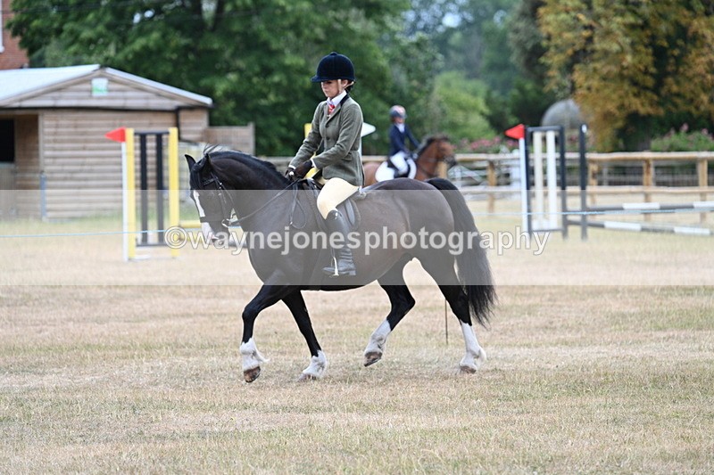 WJ7_0328 - Class 6 Ridden Mountain and Moorland