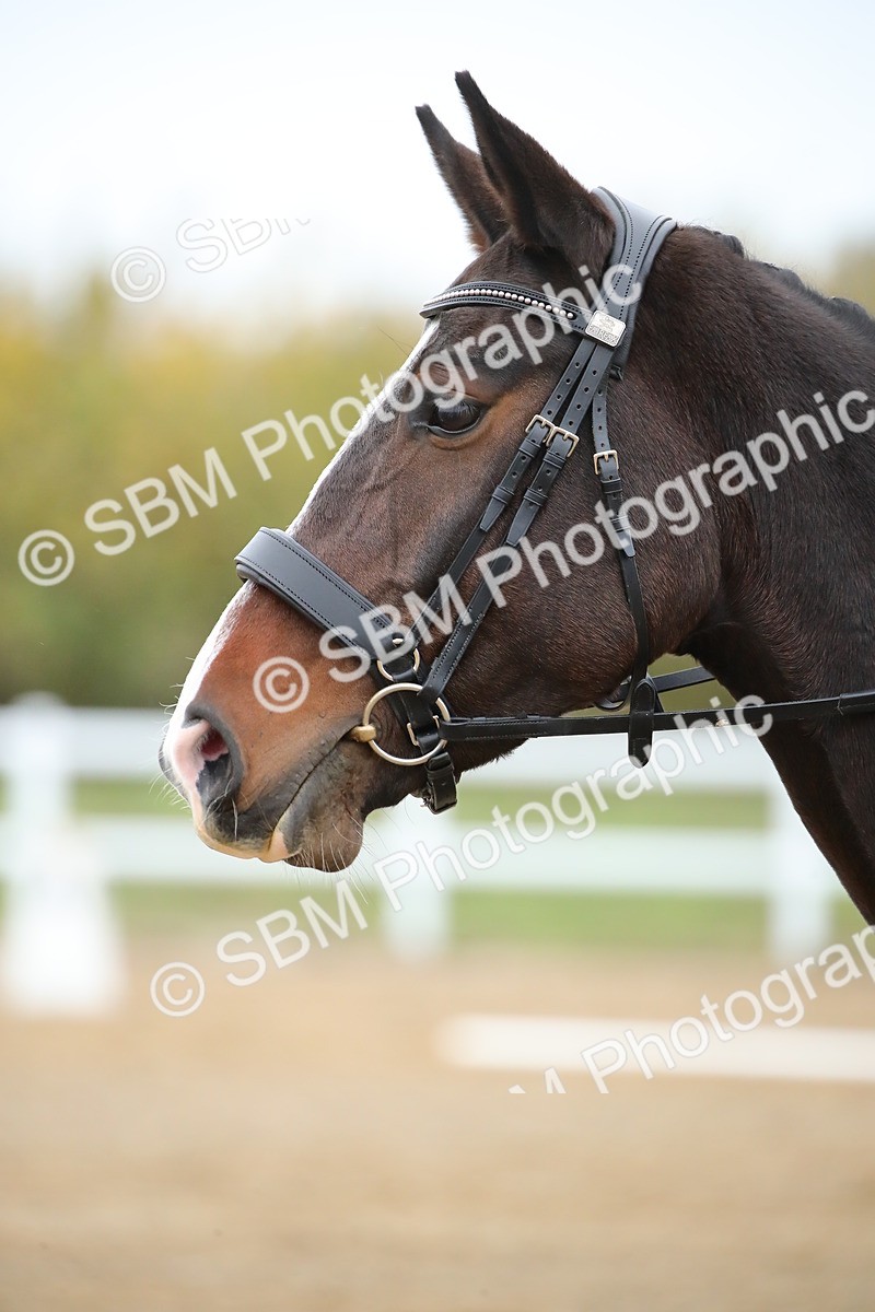 SBM_000416 - Intro 2