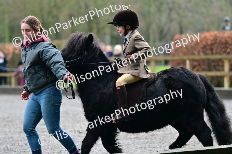 20260125-0978 - Class 9a - Walk Trot Assisted