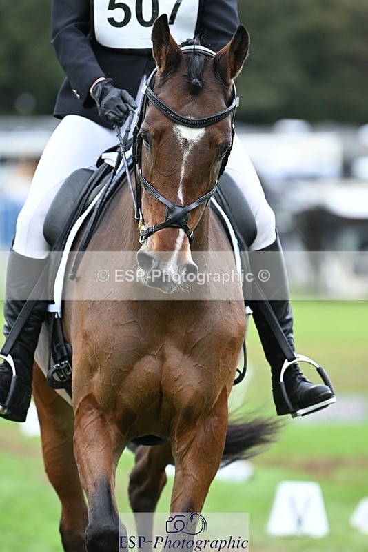 231020-153832-11231 - 507-EDGEDALE.BLUE.LADY-Katie.Lavin-DR