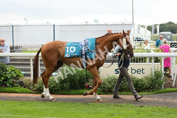 yr04092022r5-2 - Race 5 4.05pm Little Green Rascals Children's Nurseries Stakes
