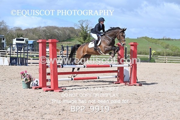 BPP_9919 - CLASS 19 SUN Senior British Novice/ 90cm Open