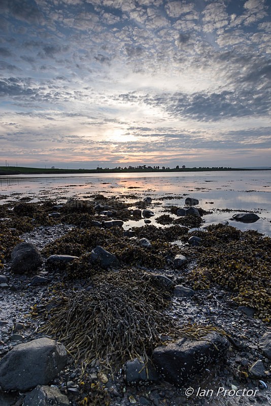 Skyscape & Seaweed at Strangford Lough - County Down