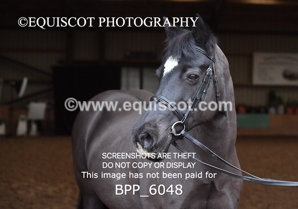 BPP_6048 - Erin Hancock ×2