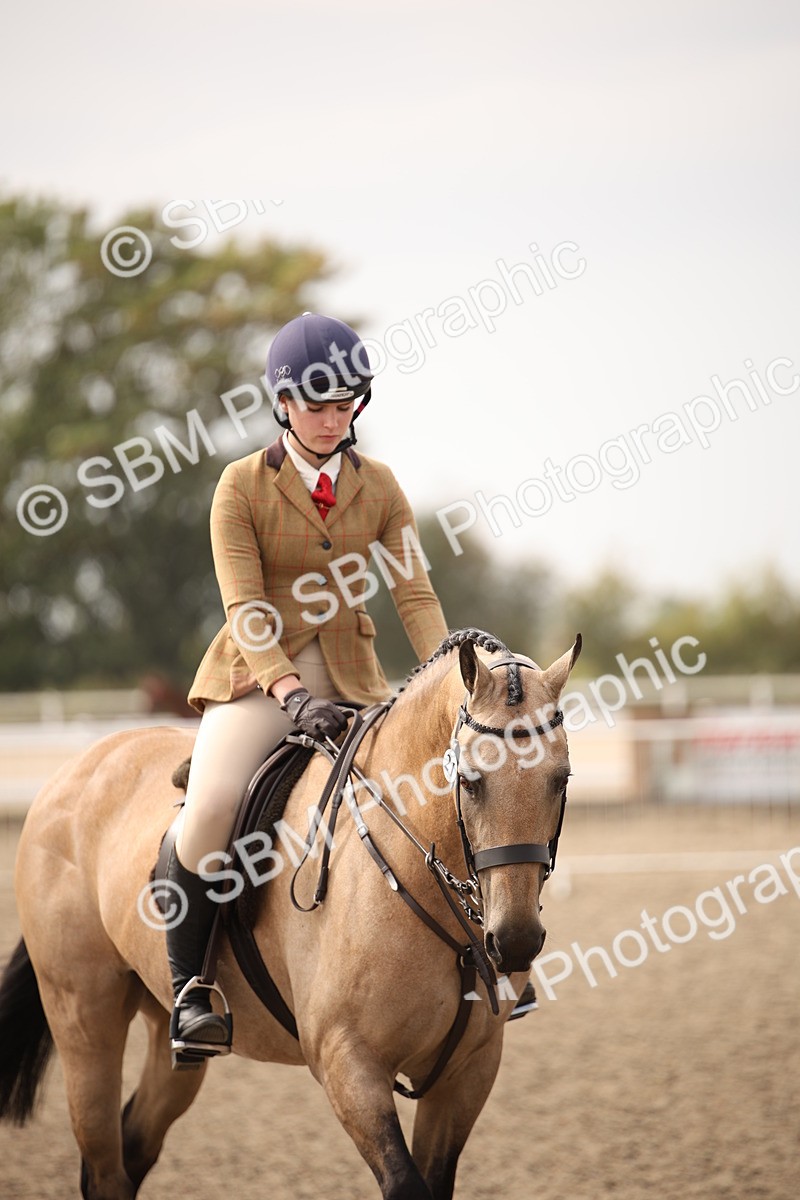 SBM_17142 - Class 409b - Working Veteran 80cm (20+)