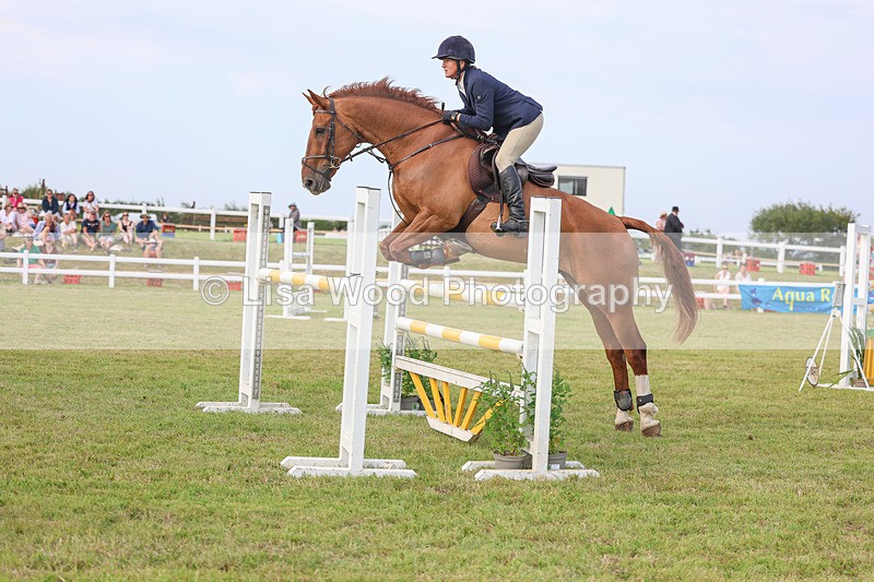 3E7A0847 - Class C: Showjumping Senior Foxhunter
