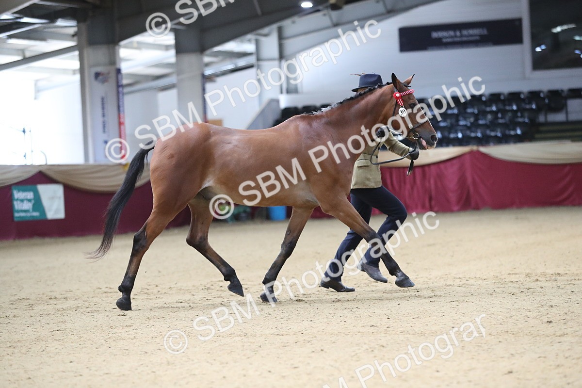 SBM_00210 - Class 1a - Area IH Diamond