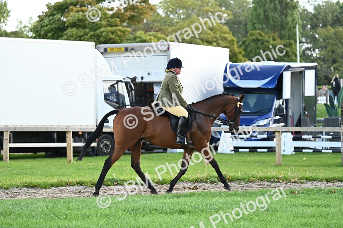 SBM_01675 - S2 - TSR Ridden Horse Showing