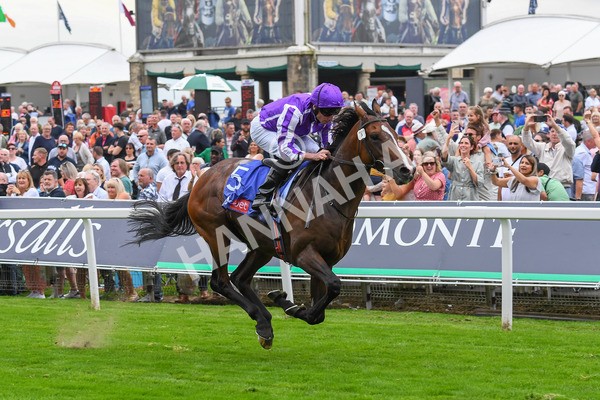 230823-Race 3-Continuous-0467 - Race 3 3.00pm Sky Bet Great Voltigeur Stakes