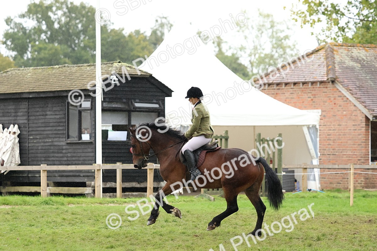 SBM_69664 - S62 - Mountain & Moorland Ridden Large Breeds