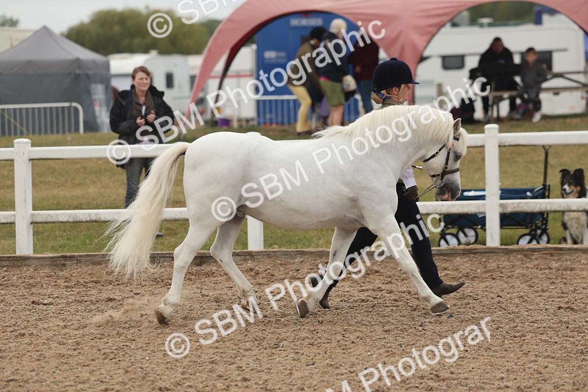 SBM_00466 - Class 13 Young Handler