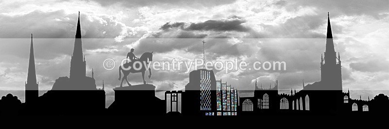 cov303 - Canvas Prints