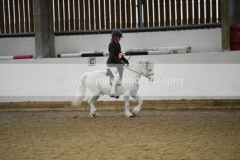 WJ5_6487 - Class 9 Ridden Veteran