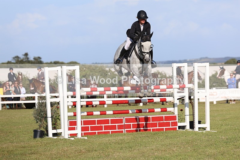 3E7A4490 - Class C: Showjumping Senior Foxhunter
