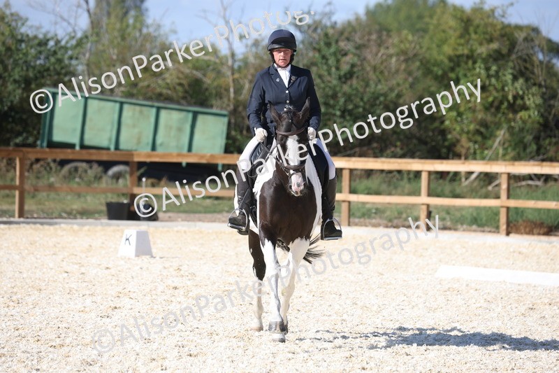 20260905-1584 - Class 5 - Novice 2