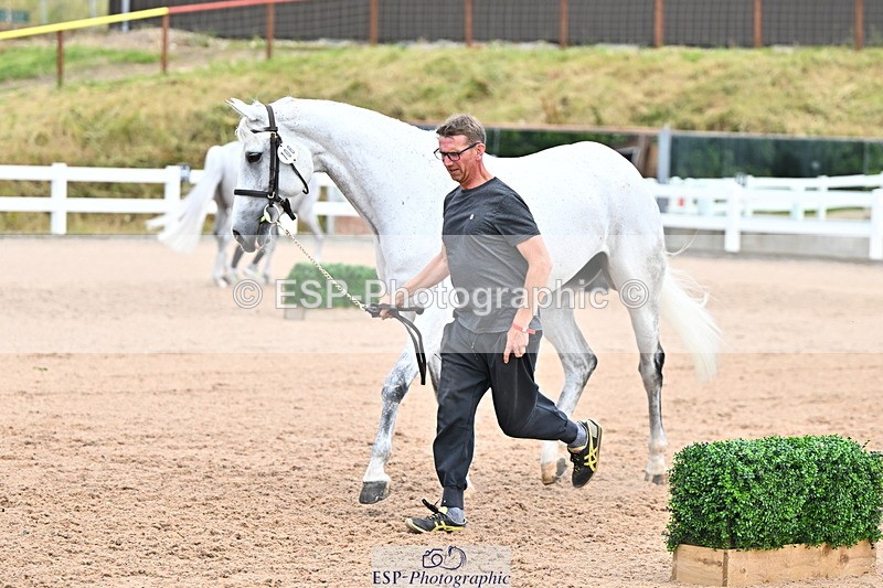 240718A-105324-01952 - Trot Up 2pm to 3pm - This folder is not in time order