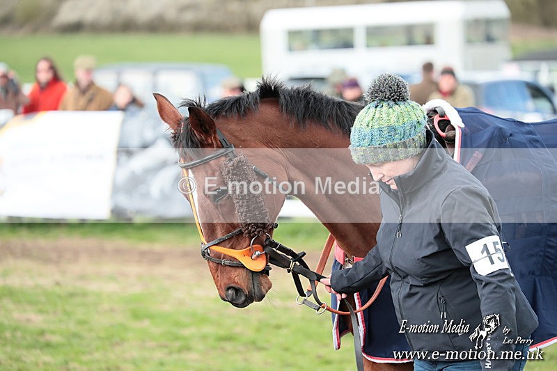 PtP 230324 744 - Tedworth Hunt PtP Larkhill Raccourse 23rd March 2024