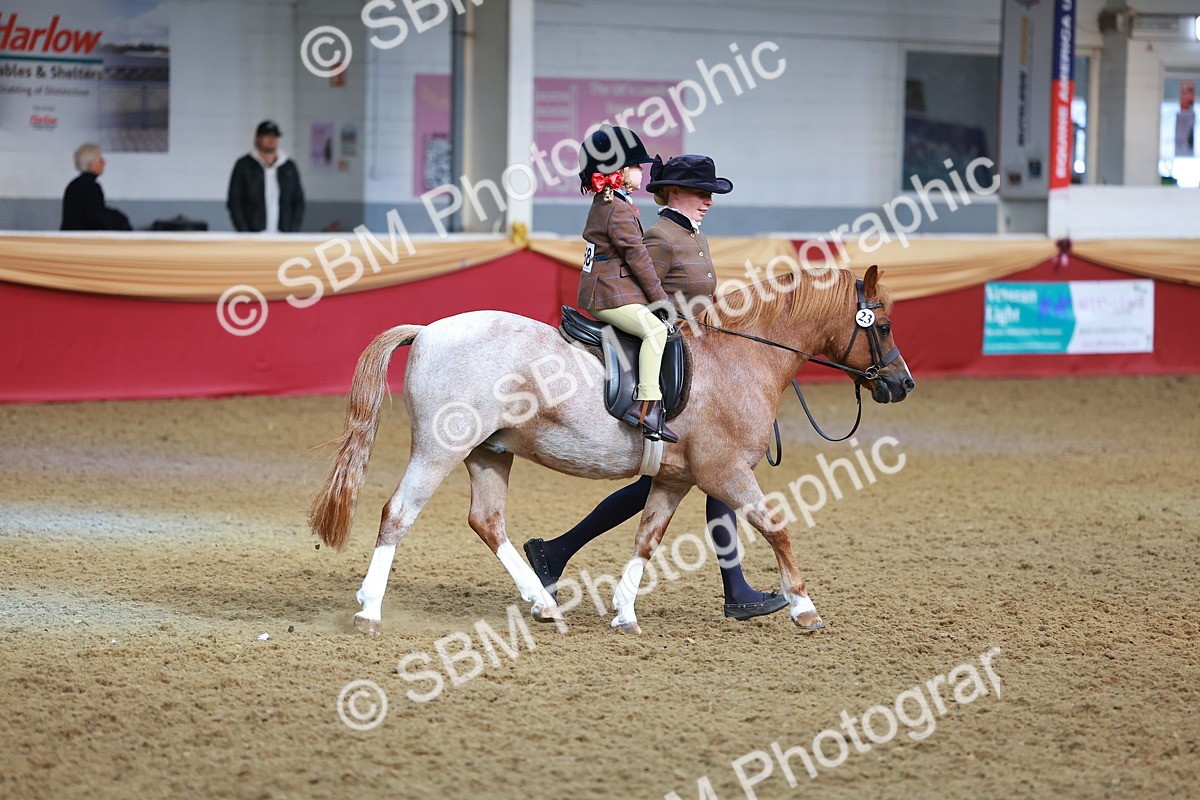 SBM_09535 - Class 102 - HOYS Veteran Qualifier - Ridden Veteran