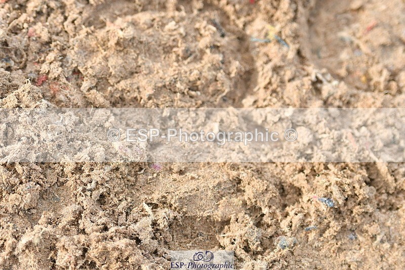 230511A-184258-01779 - UnAff Cls 4 Prelim 14