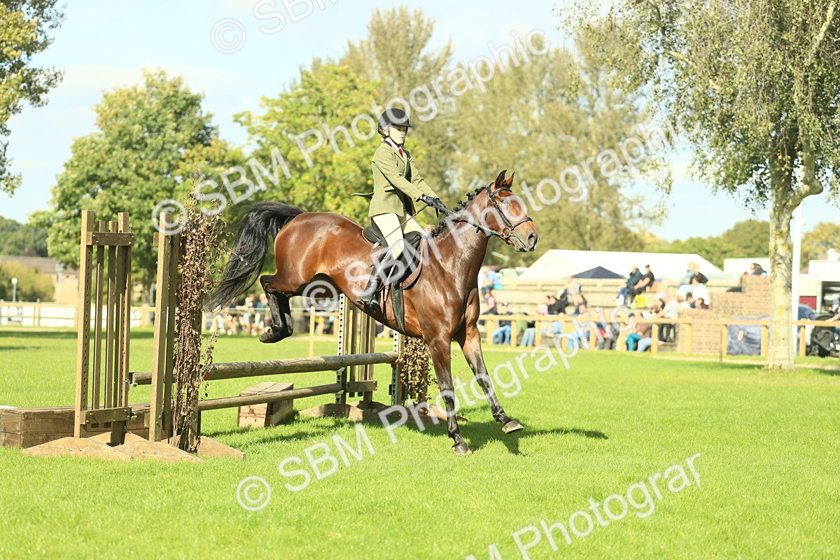 SBM_48085 - S32 - Novice & Newcomers Working Hunter