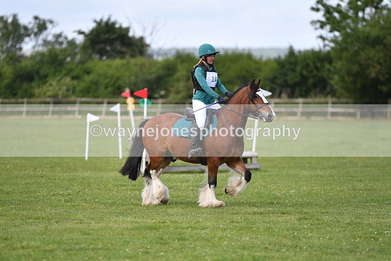 WJ5_2633 - Class 2 40cm