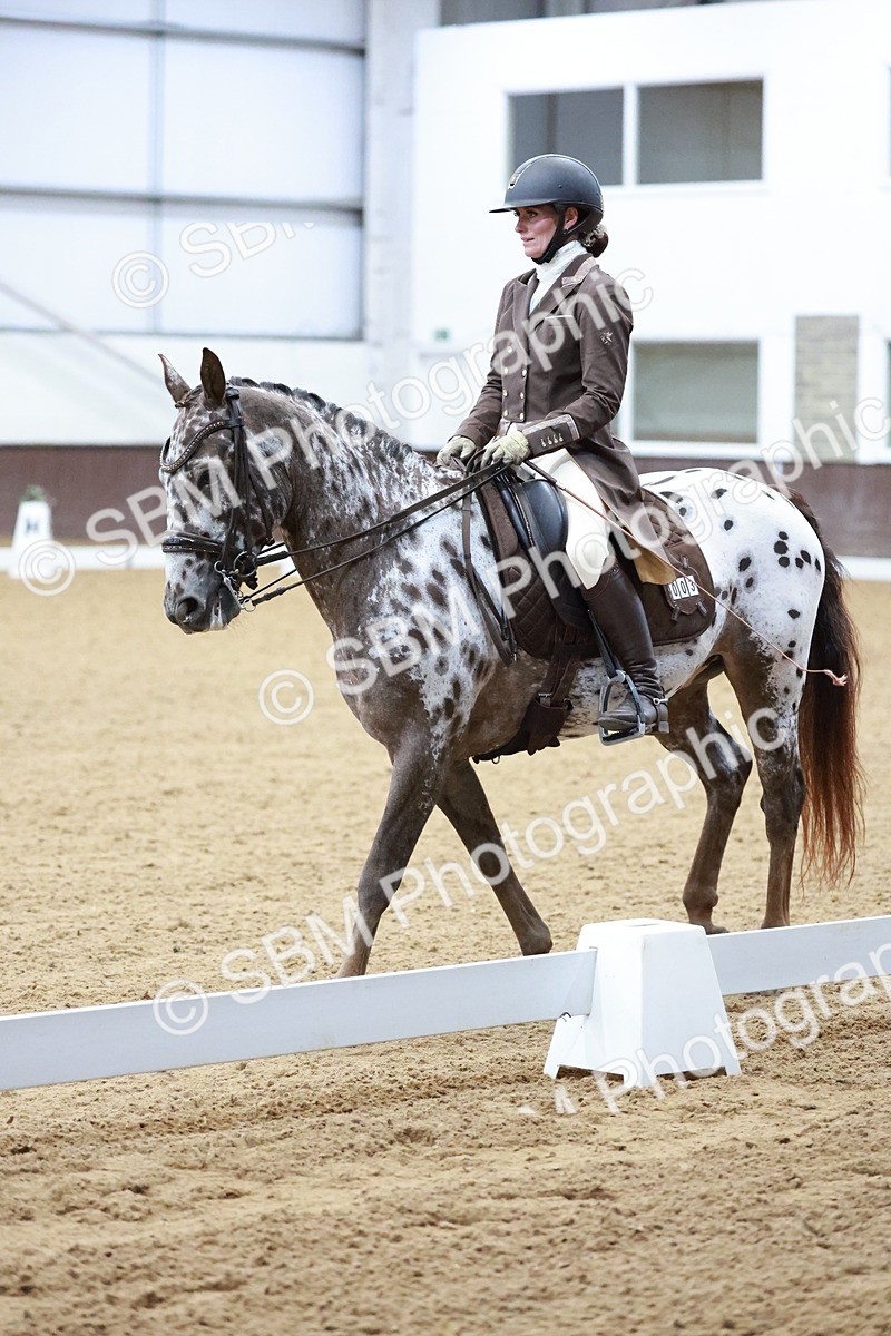 SBM_021418 - Class 14 - FEI Grand Prix - 17.40-18.34