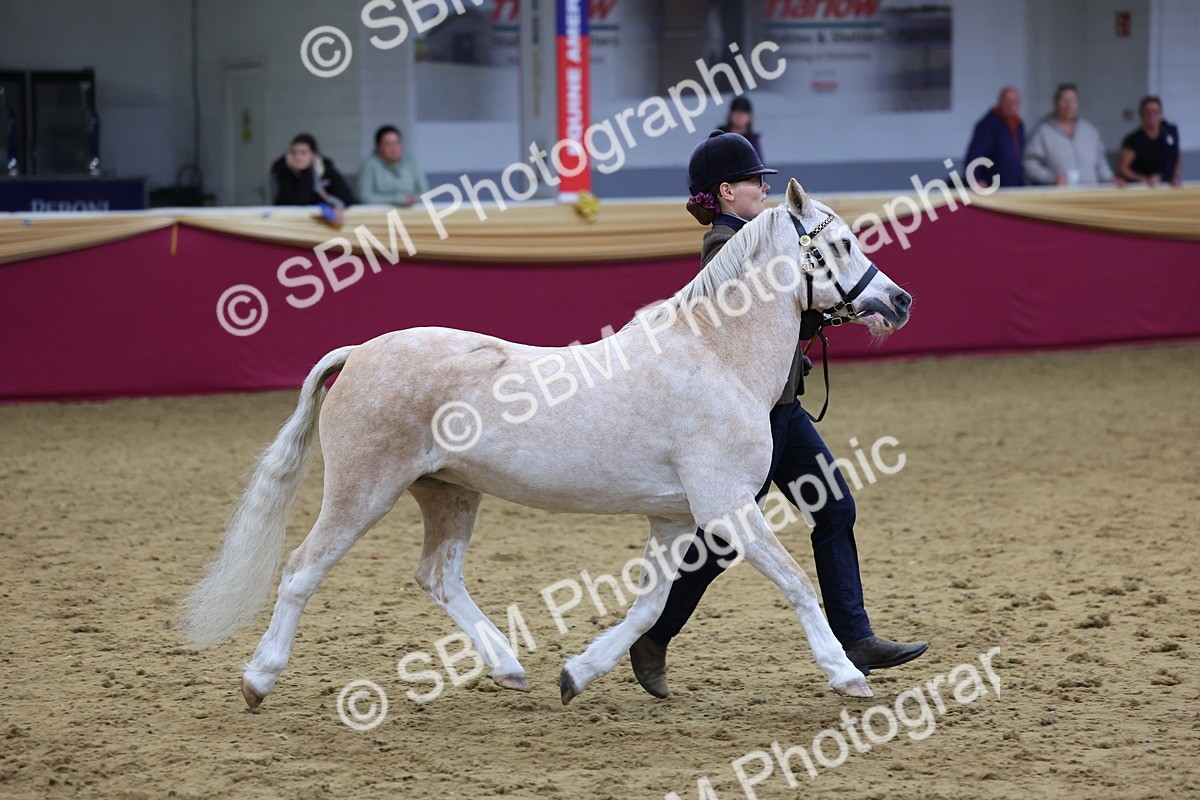 SBM_19462 - Class 901 - Supreme Final - IH Diamond