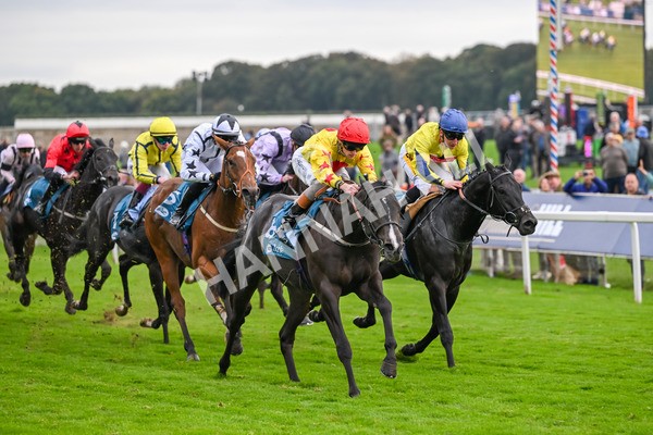 101025-Race 5-Go Vince Go-6983 - Race 5 Parsonage Hotel And Cloisters Spa Nursery Handicap at York