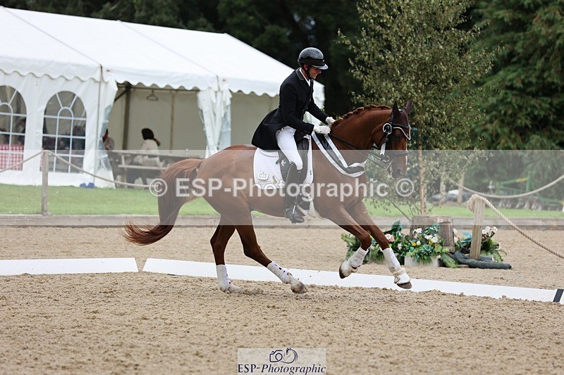 240810-170135-04490 - PSG Gold