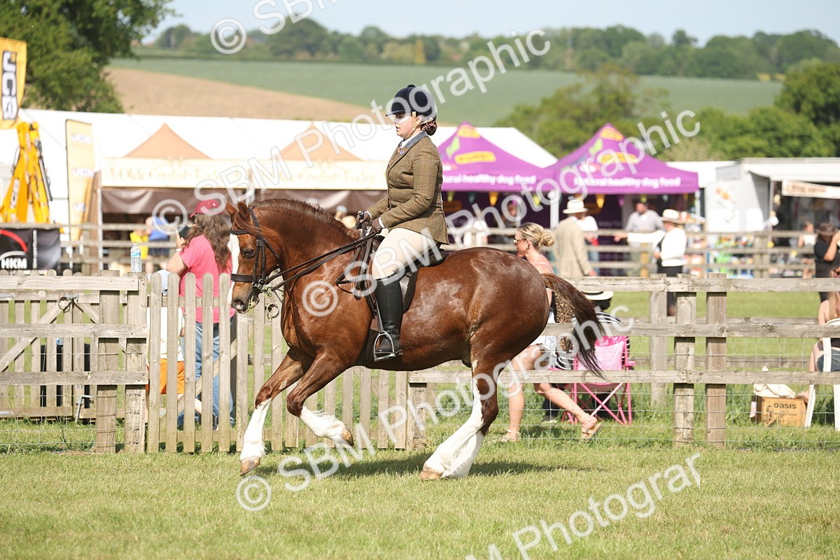 SBM_09587 - Class 33-38 - SSADL RIHS Qualifiers