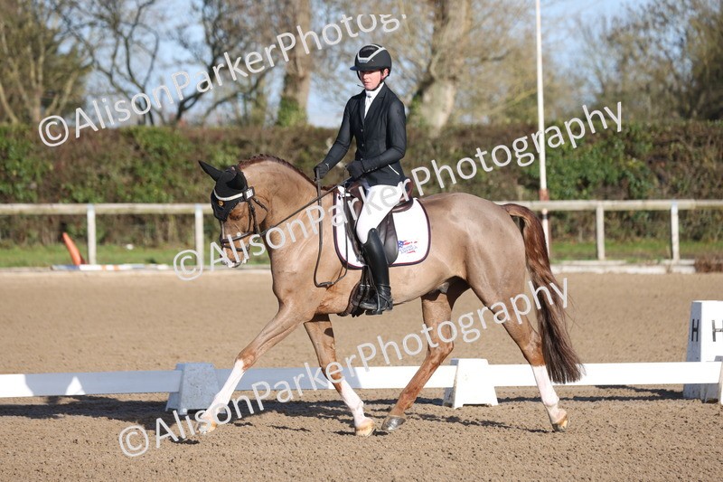 20260128-0174 - Class 3 - Novice 4